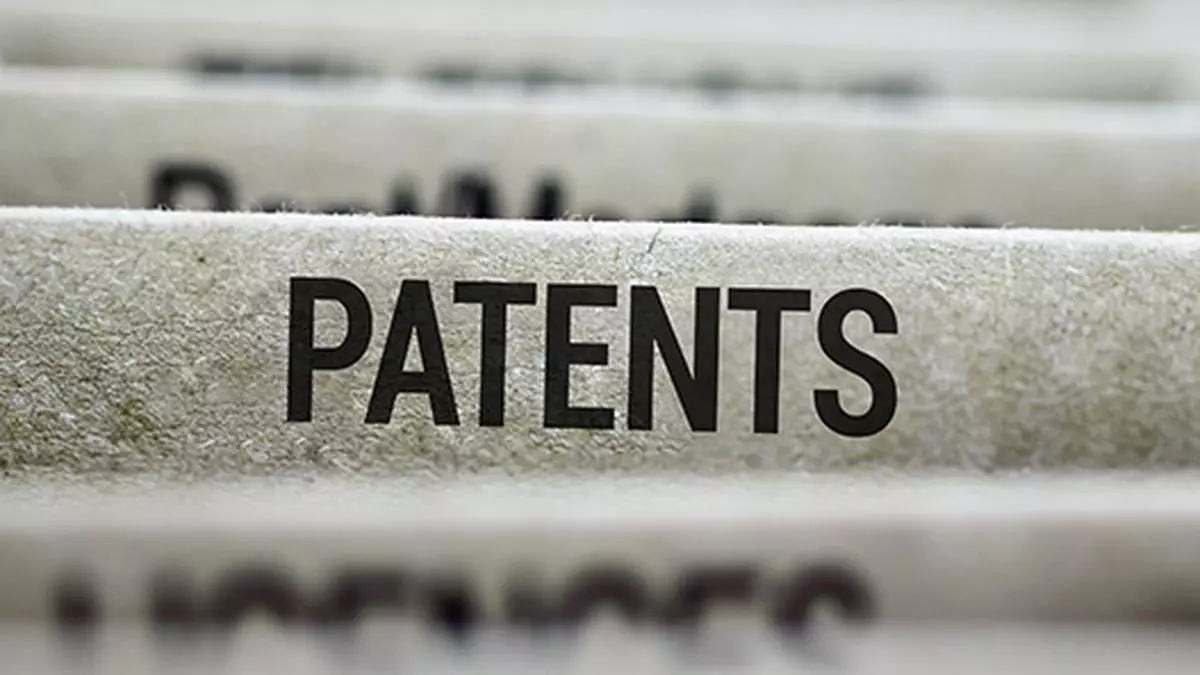 Patent (Amendment) Rules 2024 may increase litigation, impact health safety of Global South: Experts