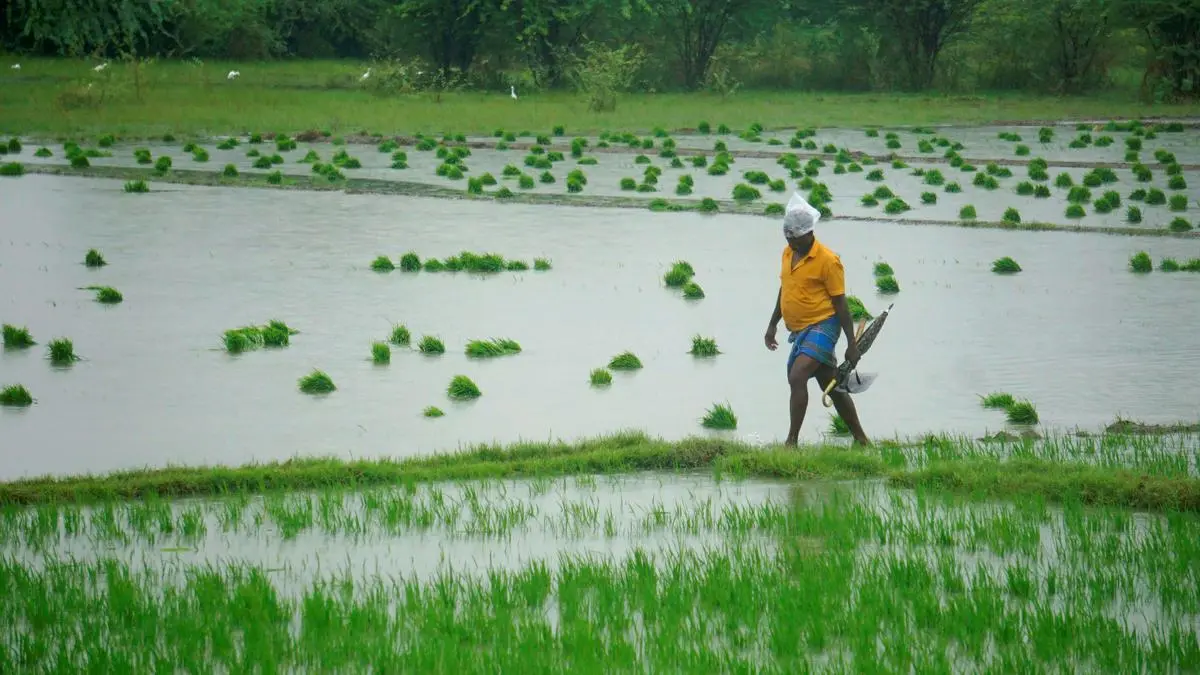 Ensuring sustainable water use in agriculture