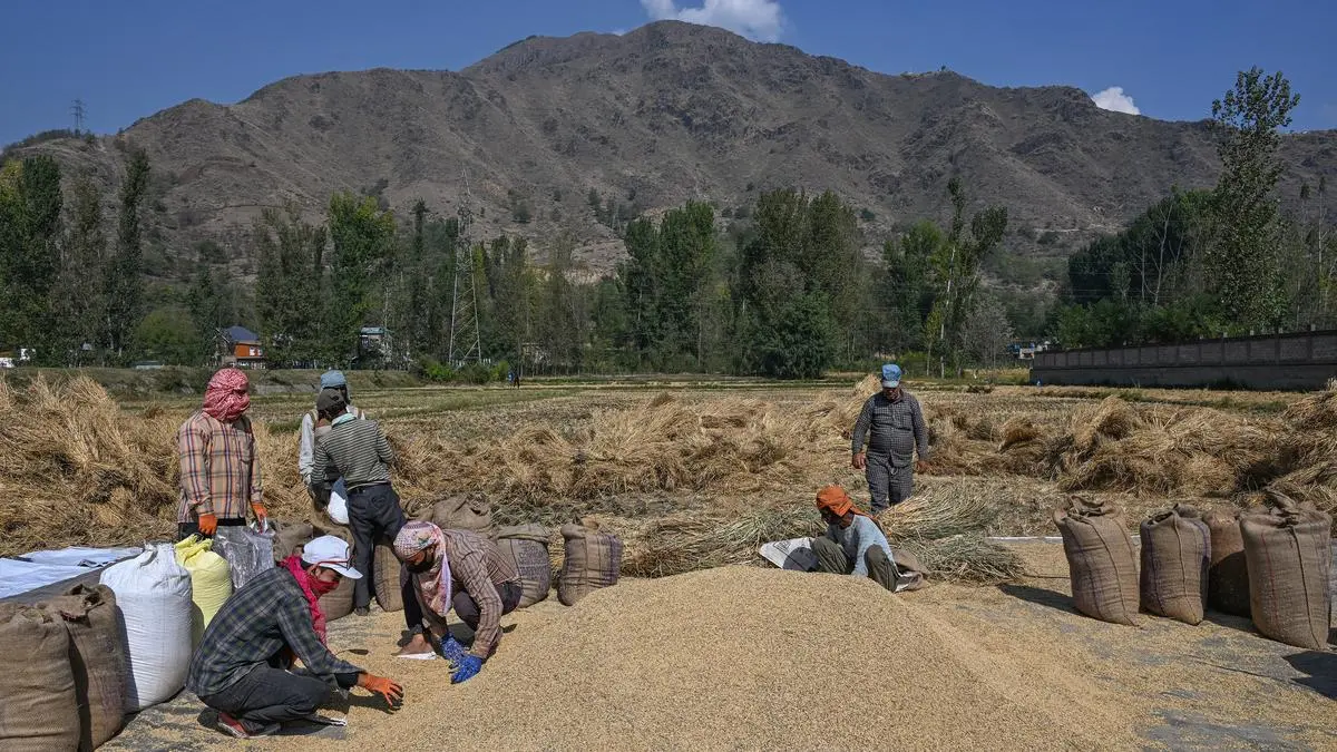 India climbs the Great Wall to emerge as world’s top rice producer