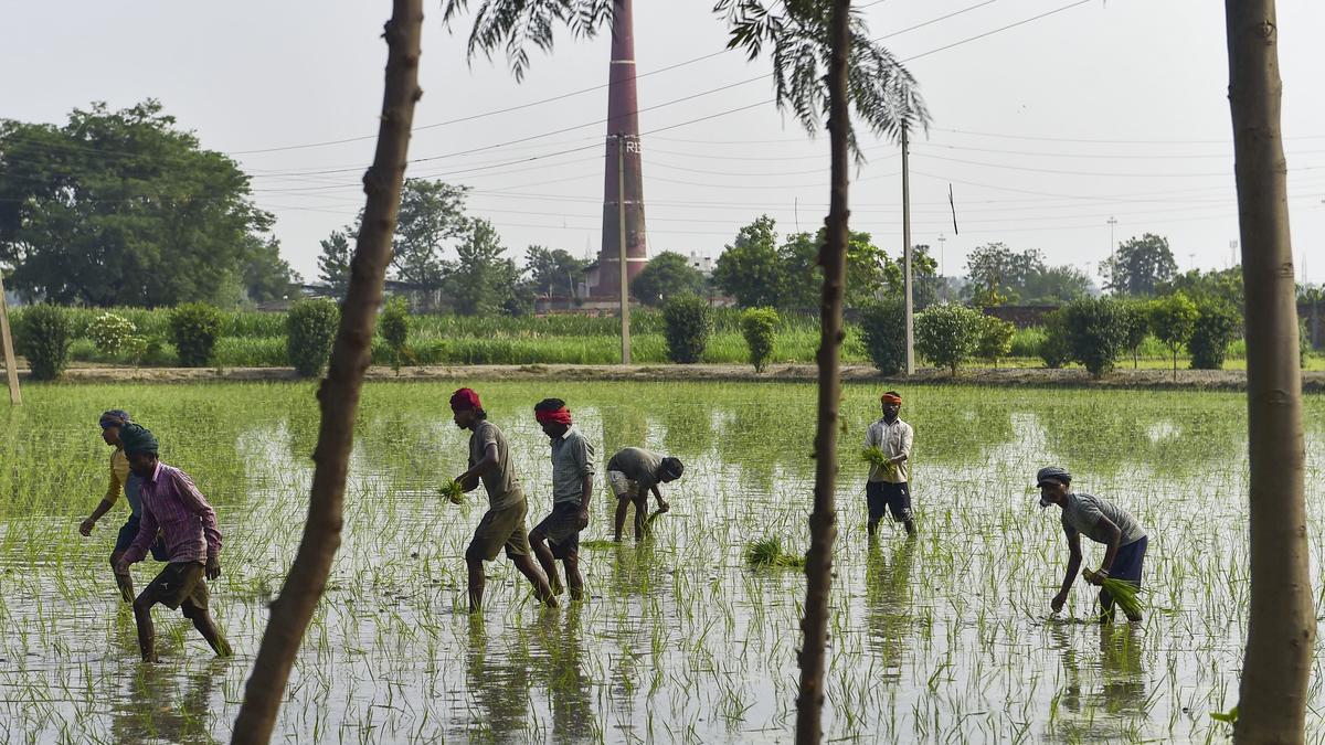 Farmers seek single window system for delivery of all agri services