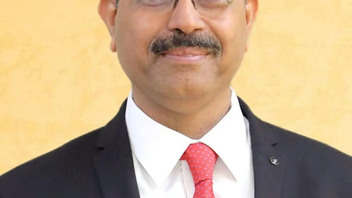 Hindustan Copper eyes mine auctions to acquire critical minerals and rare earth elements blocks: CMD
