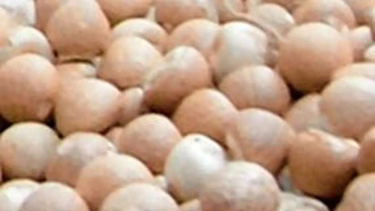 Arecanut exports from Bangladesh to India quadruple to  million in 2024-25