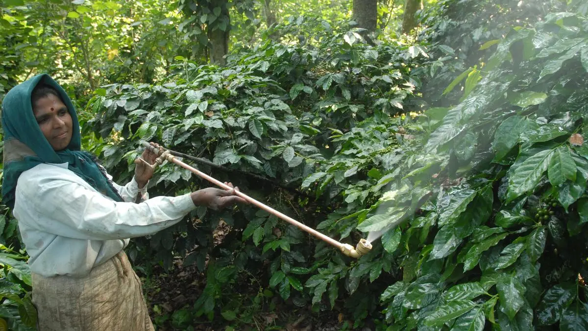 Campco asks Govt to reduce GST on copper sulphate used in agriculture 