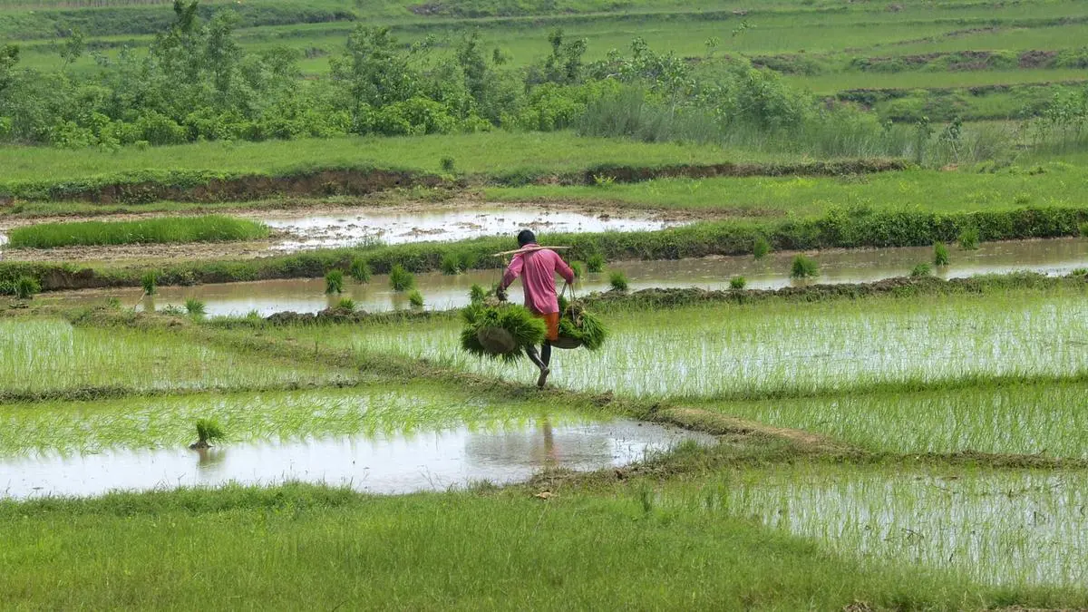 Indian farmers to benefit from zero duty import by UK of many agri items