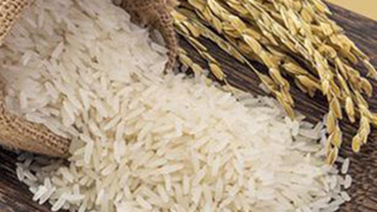 Indian millers, exporters optimistic as Bangladesh plans to import 9 lt rice: Stakeholders
