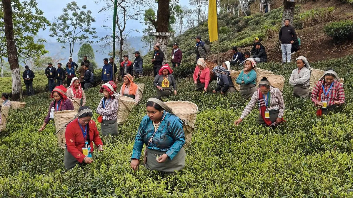 West Bengal small tea growers demand govt action on pricing and financial access